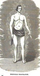 insensible perspiration